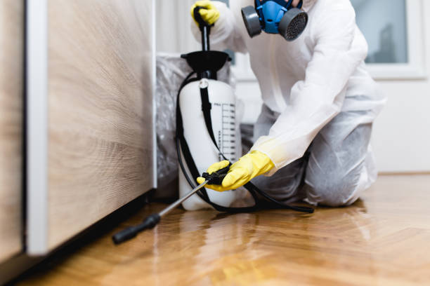 Best Flea Control Services  in Fairfield, TX