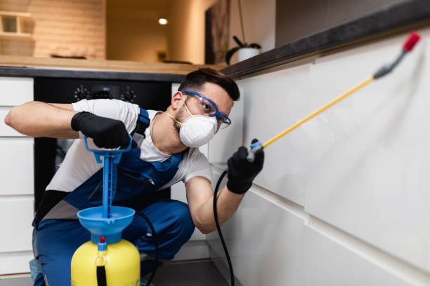 Best Ant Control Services  in Fairfield, TX