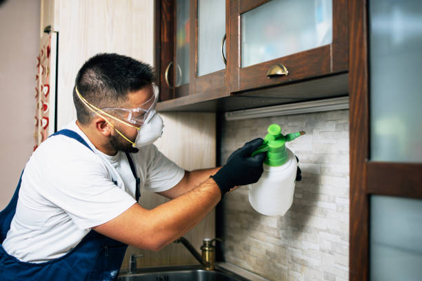 Best Pest Removal Services  in Fairfield, TX