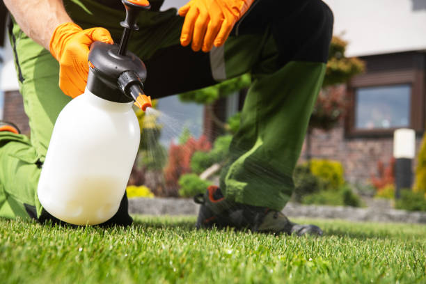 Best Bed Bug Extermination  in Fairfield, TX
