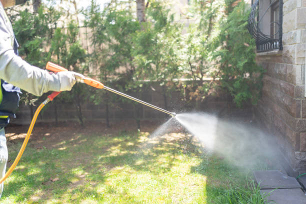Best Cockroach Control Services  in Fairfield, TX