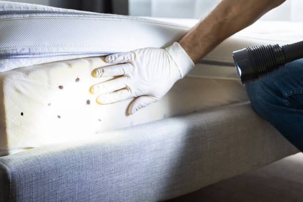 Trusted Fairfield, TX Pest Control Experts