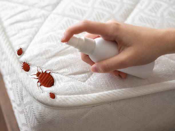 Best Insect Control  in Fairfield, TX