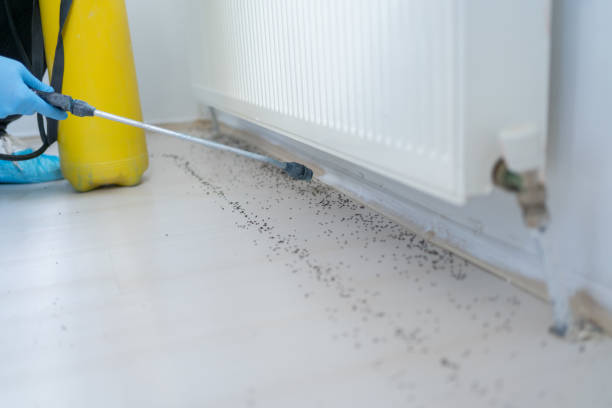 Best Residential Pest Control  in Fairfield, TX