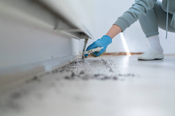  Fairfield, TX Pest Control Pros